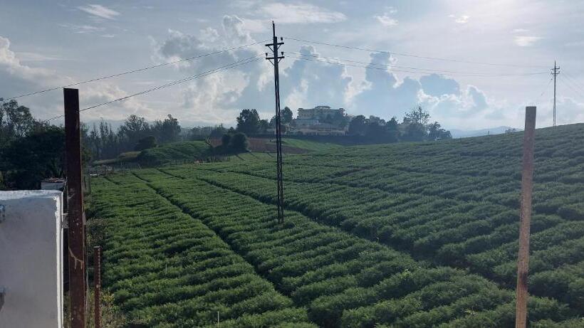 Bed and Breakfast Anya Paradise