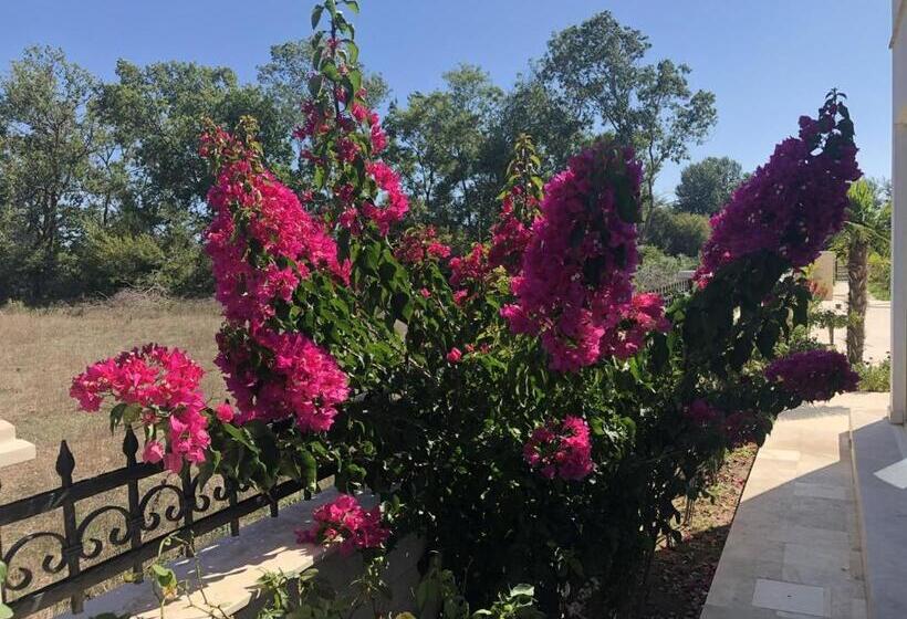 تختخواب و صبحانه Villa 100 Palme