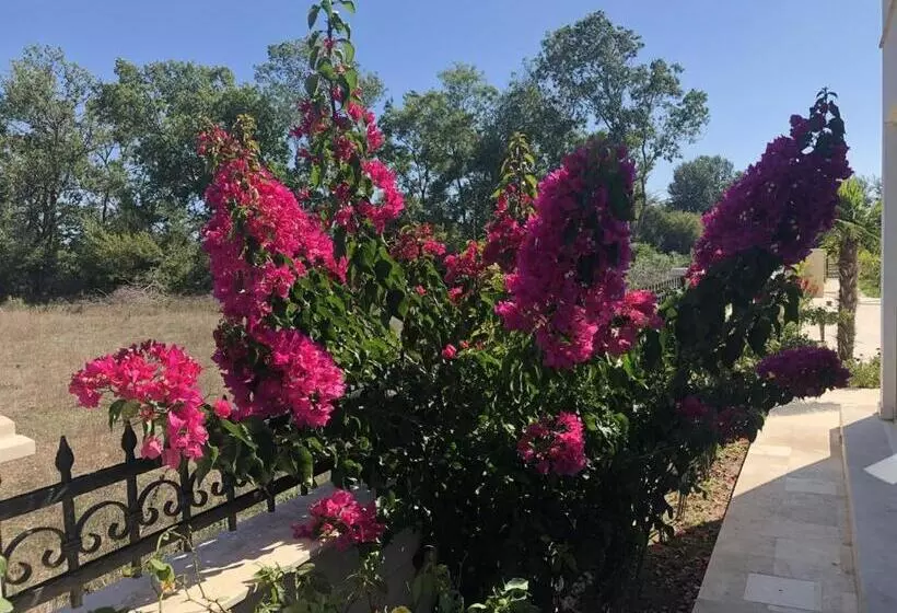 تختخواب و صبحانه Villa 100 Palme