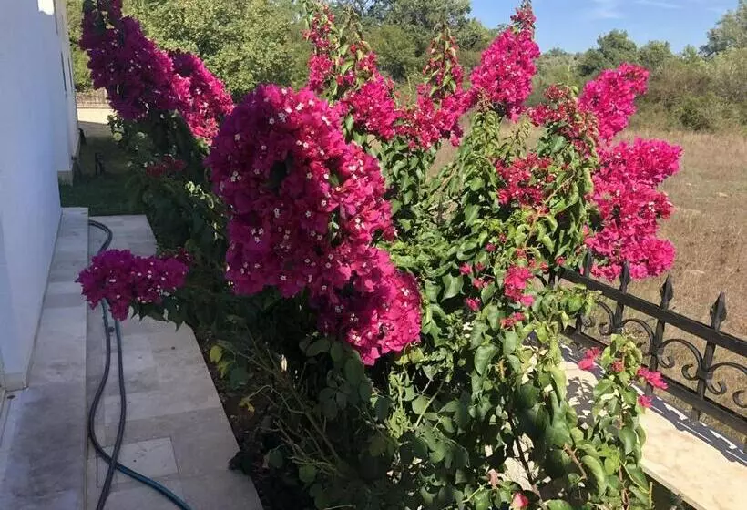 تختخواب و صبحانه Villa 100 Palme