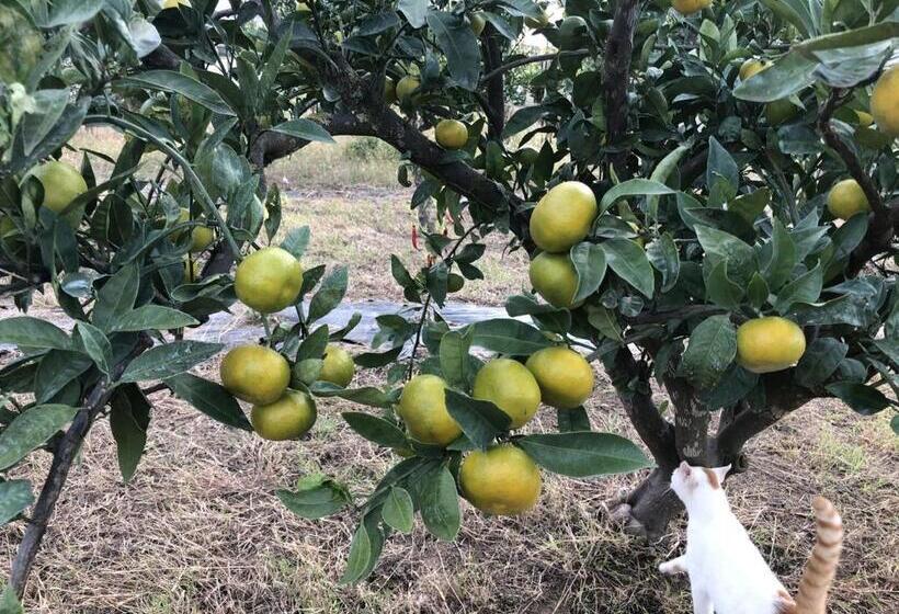 تختخواب و صبحانه Villa 100 Palme