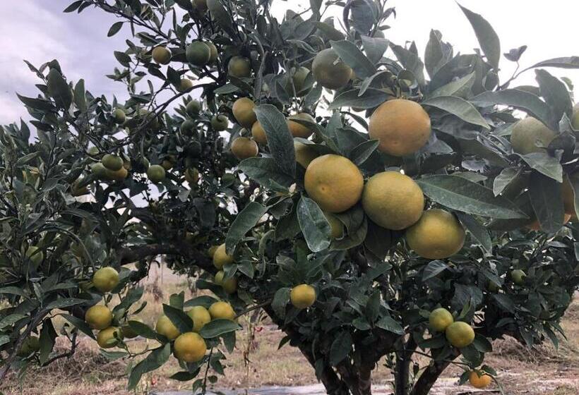 تختخواب و صبحانه Villa 100 Palme