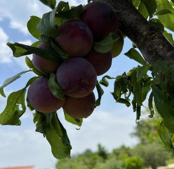 تختخواب و صبحانه Villa 100 Palme