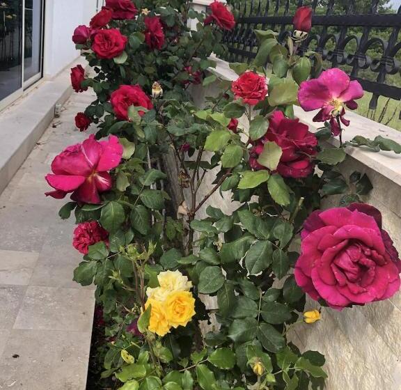 تختخواب و صبحانه Villa 100 Palme