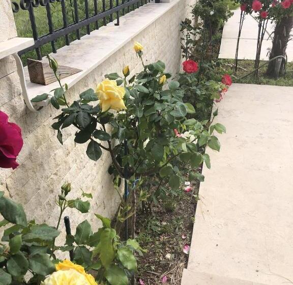 تختخواب و صبحانه Villa 100 Palme