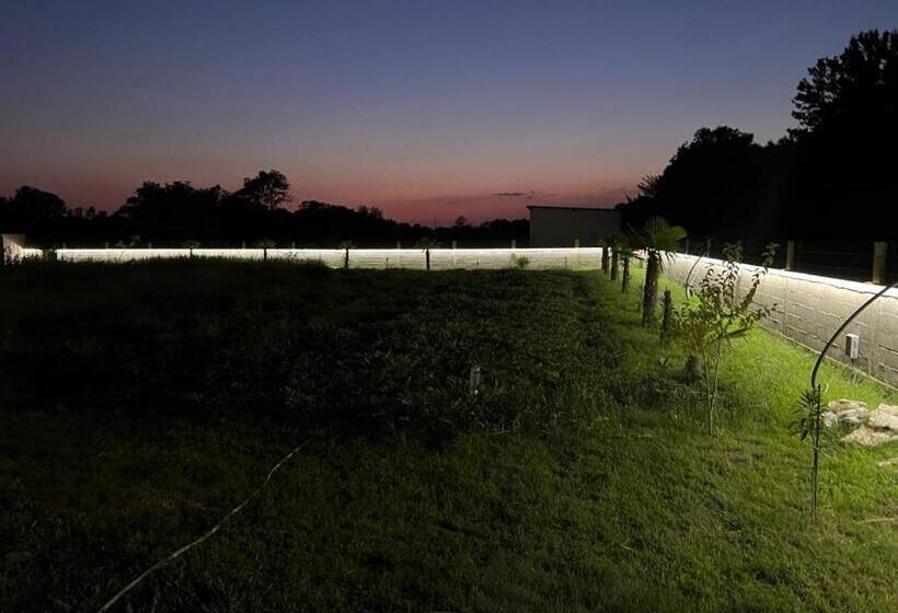 تختخواب و صبحانه Villa 100 Palme