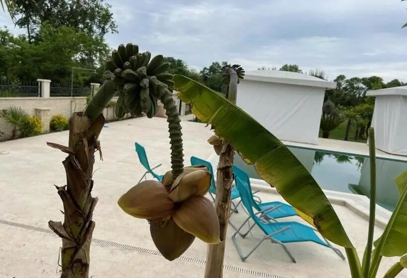 تختخواب و صبحانه Villa 100 Palme