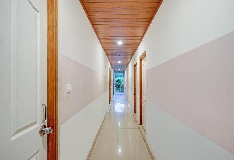 Collection O 81198 Maqintosh Hotel Thekkady