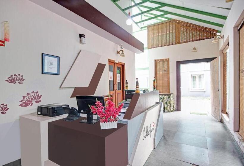 Collection O 81198 Maqintosh Hotel Thekkady