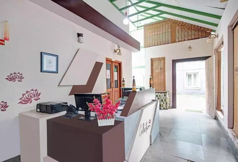 Collection O 81198 Maqintosh Hotel Thekkady