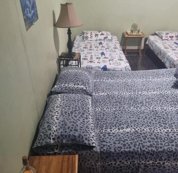 هتل Paradise Alajuela