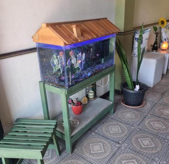 هتل Paradise Alajuela