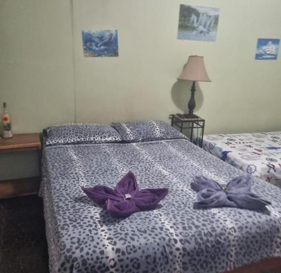 هتل Paradise Alajuela