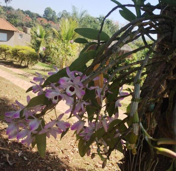 فندق Pousada Estância Da Mata