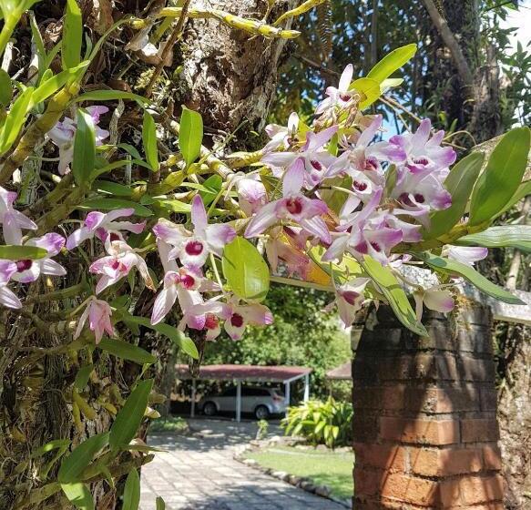 הוסטל Cabana Cisne Negro