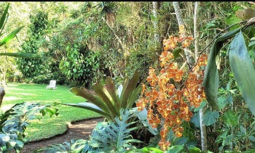 הוסטל Cabana Cisne Negro