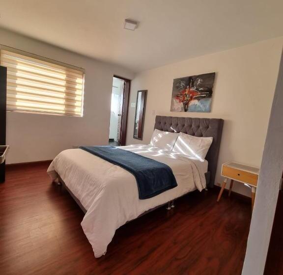 Отель Florentina