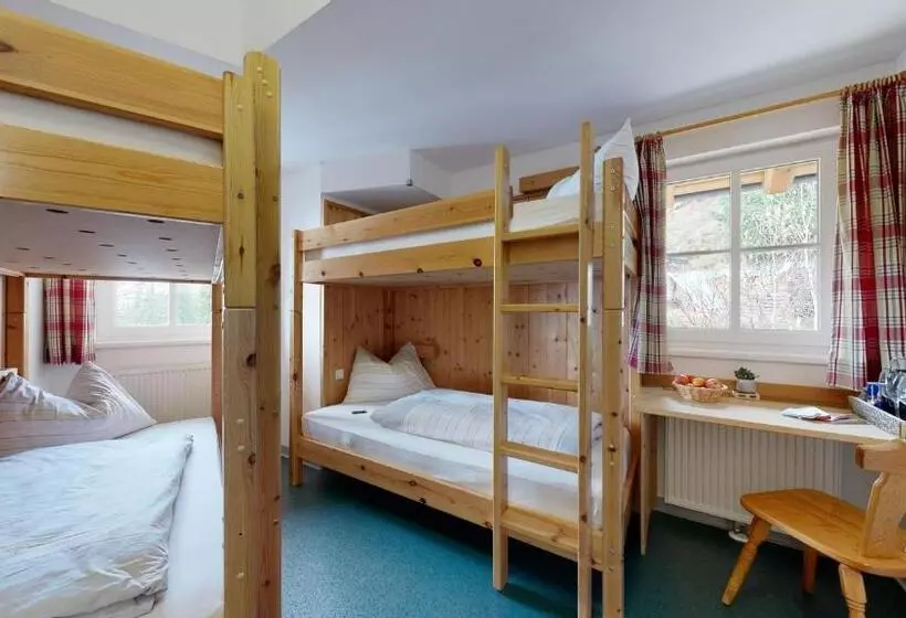 ホテル Pinzgauer Hütte Zell Am See  Piesendorf