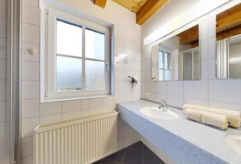 ホテル Pinzgauer Hütte Zell Am See  Piesendorf