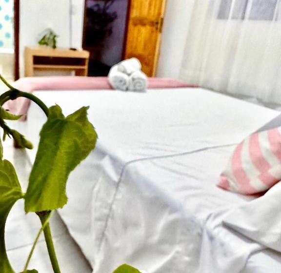 ホテル Pousada Grão De Areia