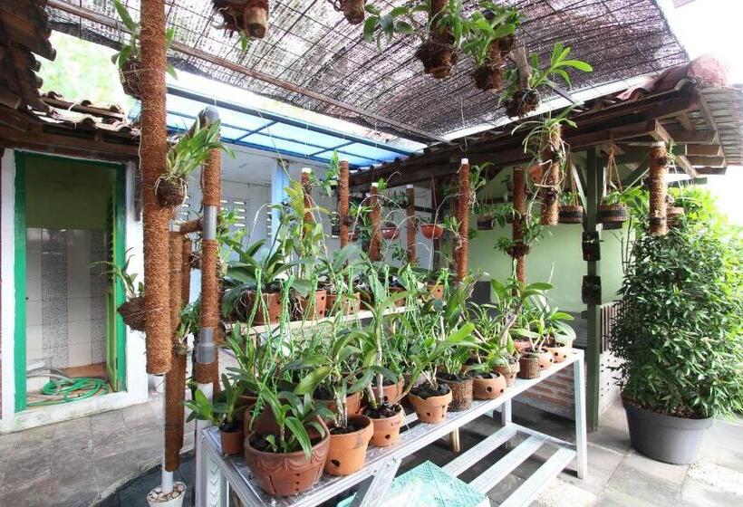 酒店 Spot On 93324 Hadi Homestay Syariah