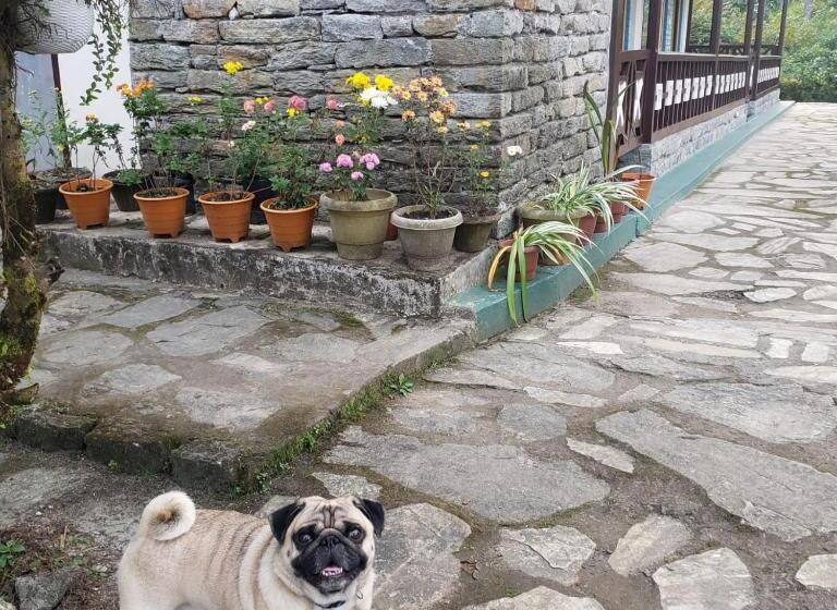 Hotel The Nettle And Fern Farmstay