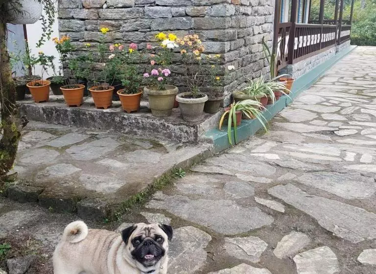 ホテル The Nettle And Fern Farmstay