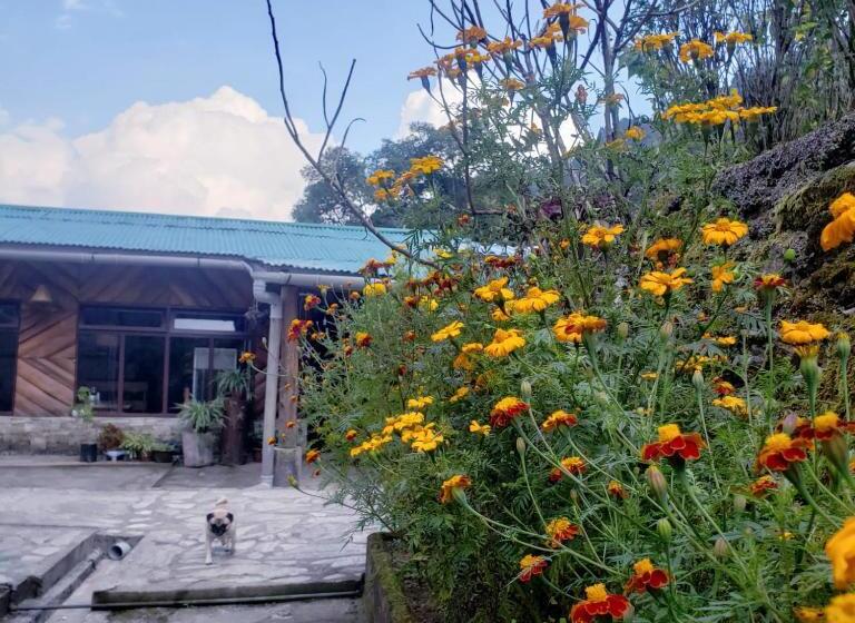 Hotel The Nettle And Fern Farmstay