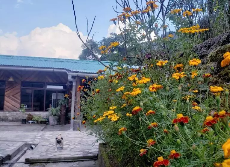 ホテル The Nettle And Fern Farmstay