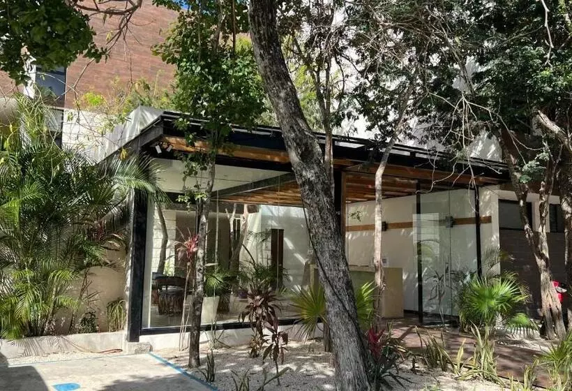Luxury Zen Like 2 Story 3room With Rooftop Deck Pool