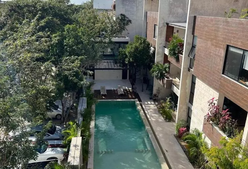 Luxury Zen Like 2 Story 3room With Rooftop Deck Pool