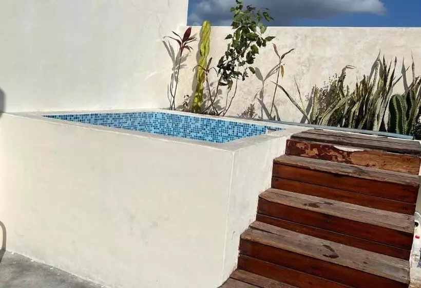 Luxury Zen Like 2 Story 3room With Rooftop Deck Pool