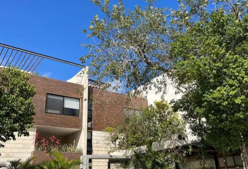 Luxury Zen Like 2 Story 3room With Rooftop Deck Pool