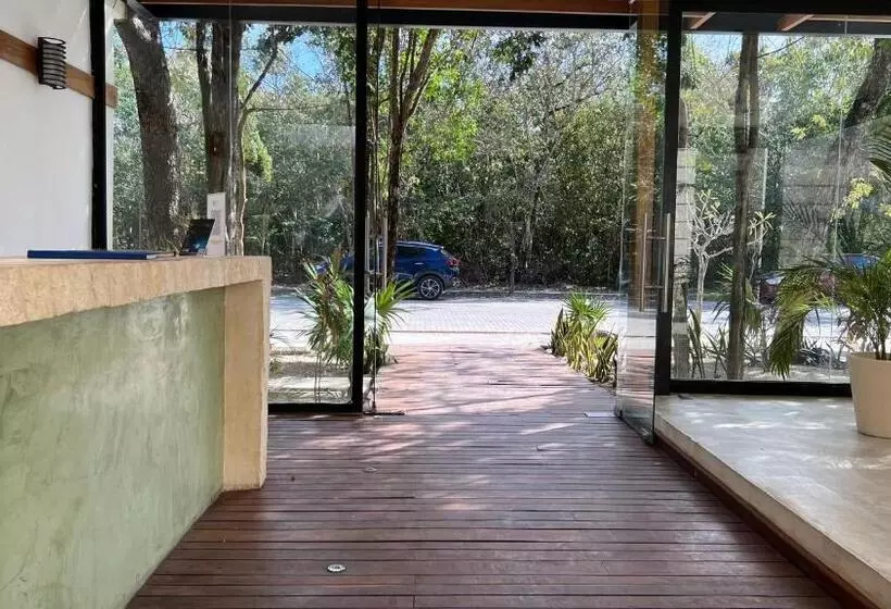 Luxury Zen Like 2 Story 3room With Rooftop Deck Pool