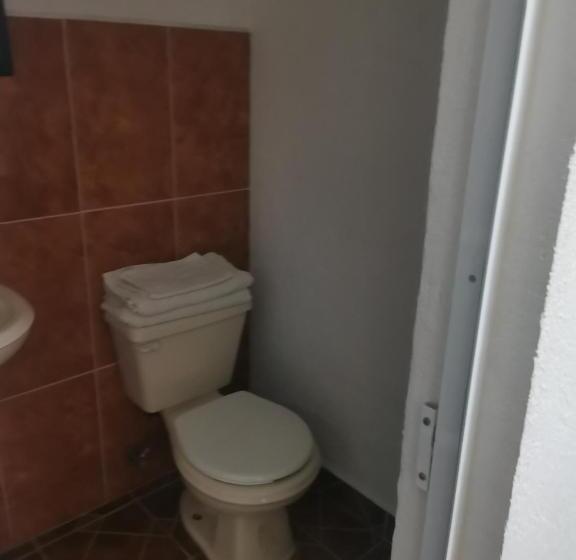 Pansiyon Casa Momotus