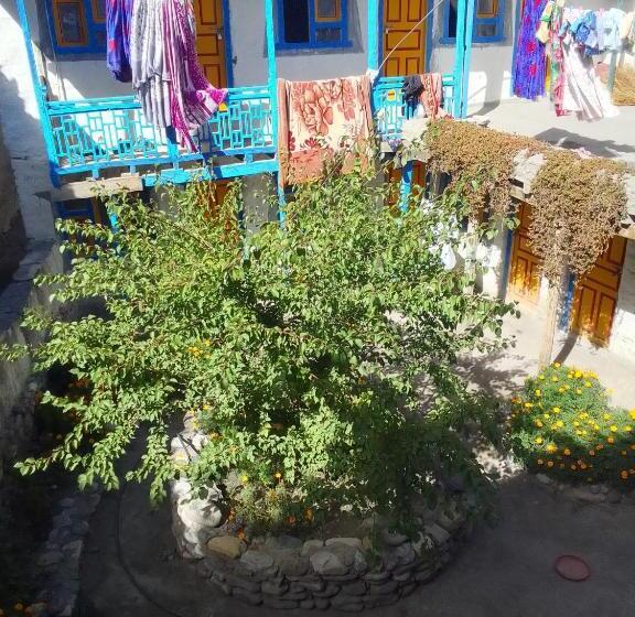 Showboat Hotel Organic Restaurant