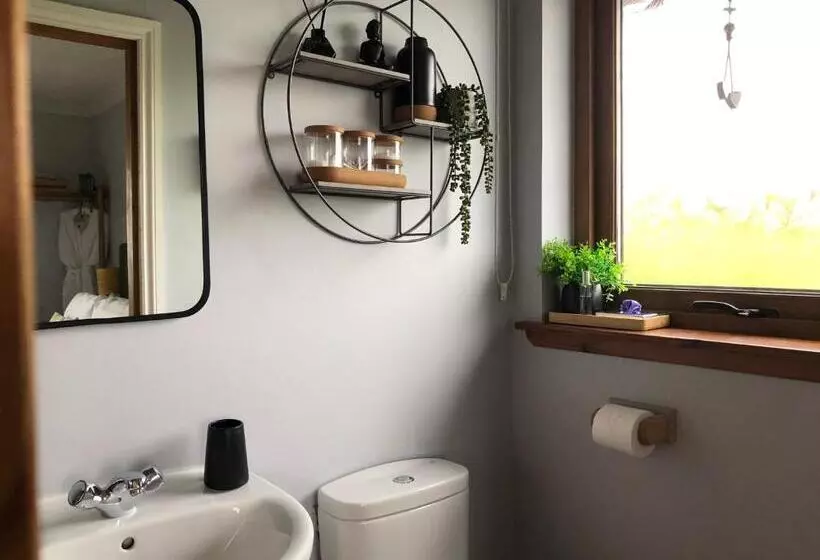 Bed and Breakfast Aurora
