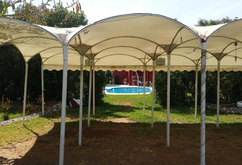 مبيت وإفطار Ferme Hippique Chtouka