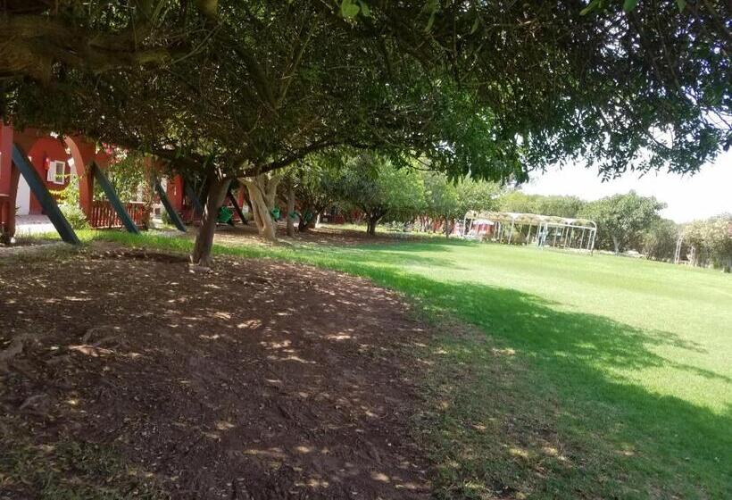 مبيت وإفطار Ferme Hippique Chtouka