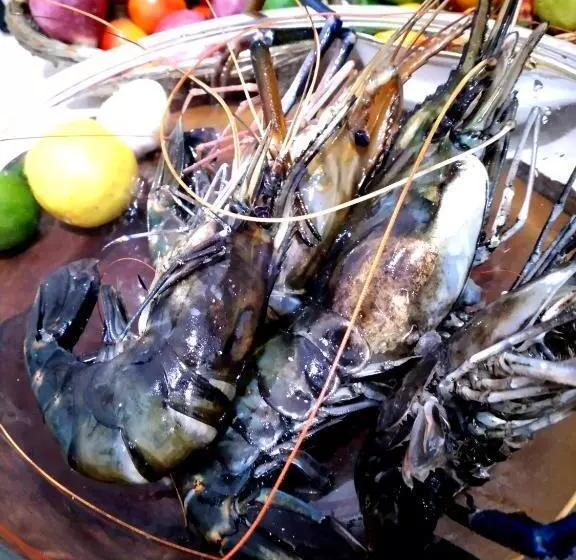 Hotelli Endlessblue Resort Kalametiya