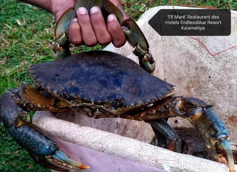 Hotelli Endlessblue Resort Kalametiya