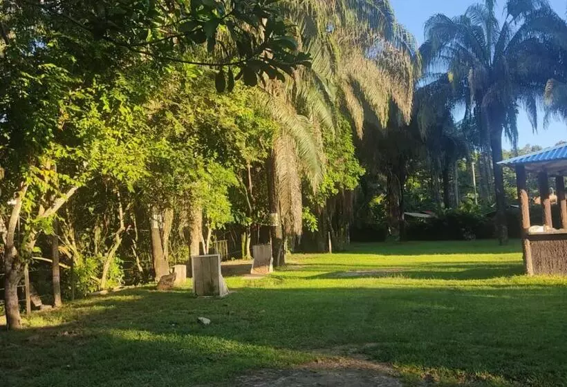 Hotelli Hostel Glamping Mistiko Safari   Carmen De Apicala