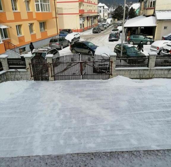 Пансион Casa Poenaru