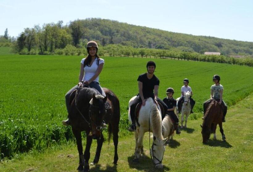 Пансион Domaine La Granja