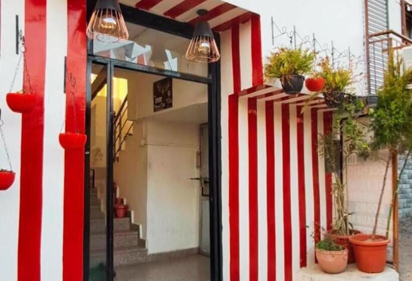 פנסיון Gliders Inn By Barefoot Inc