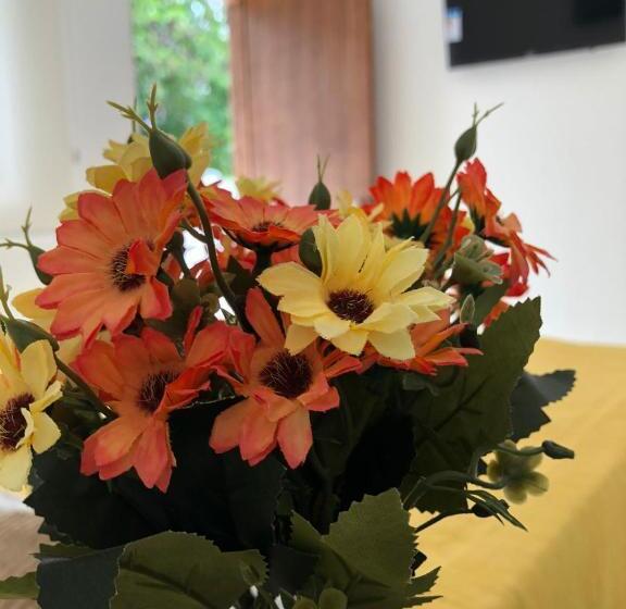 פנסיון Pousada Villa Margarida Buzios