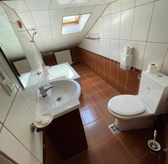 Pensiunea Olympia Nădab