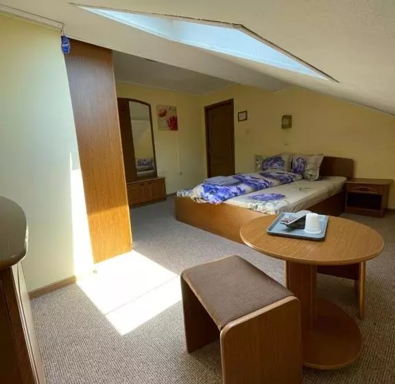 Pensiunea Olympia Nădab