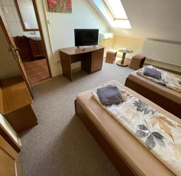 Pensiunea Olympia Nădab