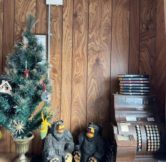 Town And Country Motel